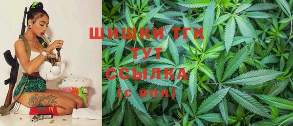 spice Заводоуковск