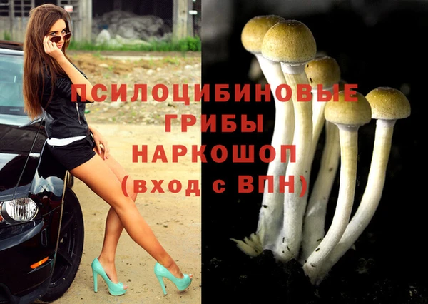 spice Заводоуковск