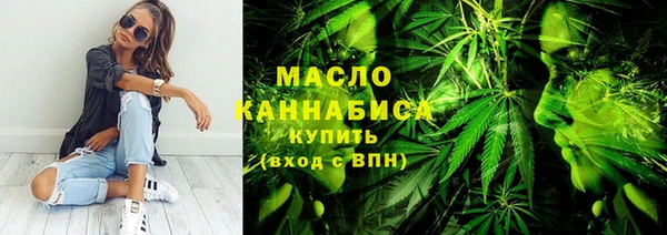 мет Елабуга